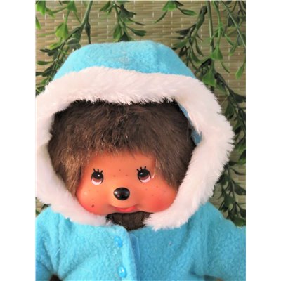 Winterjasje Turqoise V66