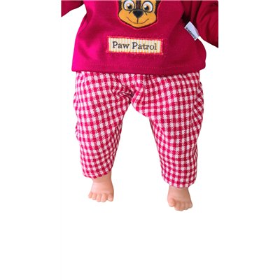 2 dlg pakje Paw Patrol V115