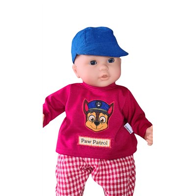 2 dlg pakje Paw Patrol V115