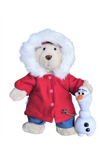 Winterjas met bontcapuchon