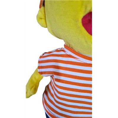 shirt + muts oranje wit