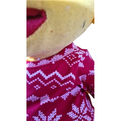 Noors truitje rood wit