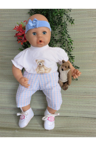 2 dlg pakje Beertje V145