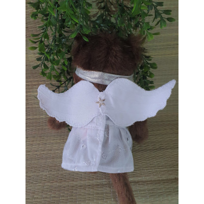  2 dlg Engeltjes jurkje D98