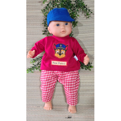 2 dlg pakje Paw Patrol